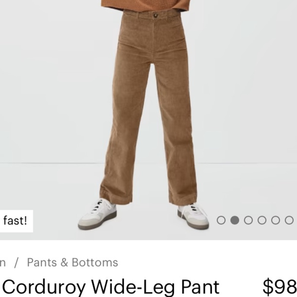 Everlane corduroy wide leg pant